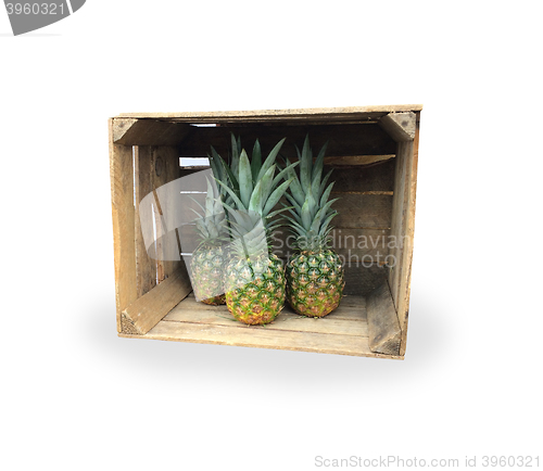 Image of Pineapples
