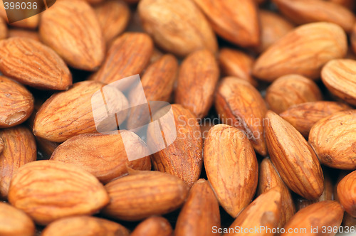 Image of Almonds