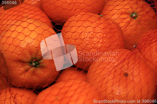 Image of Oranges