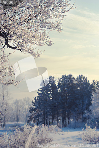 Image of winter landscape of snow-covered fields, trees 