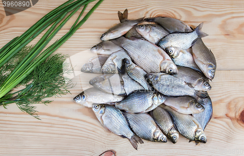 Image of Fish hooked in the river on a table surface.