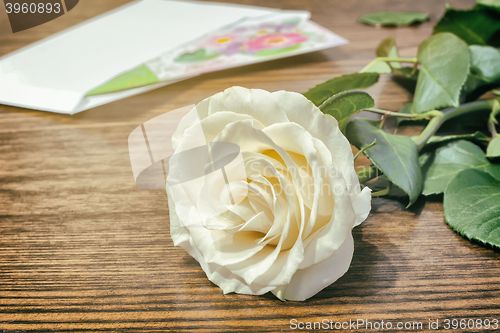 Image of White rose and a letter of congratulation.