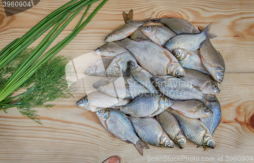 Image of Fish hooked in the river on a table surface.