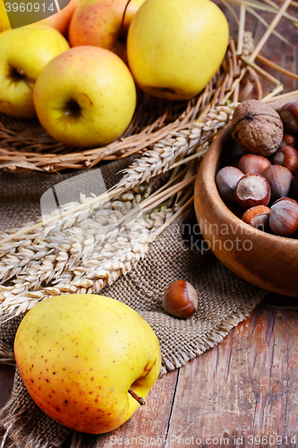 Image of crop of apples and nuts