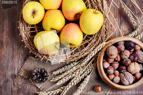 Image of crop of apples and nuts