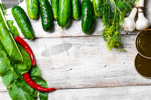 Image of Preserving fresh cucumbers