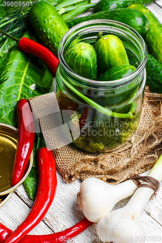 Image of Preserving fresh cucumbers