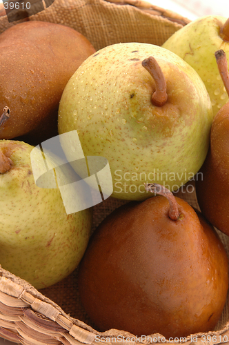 Image of pears vert