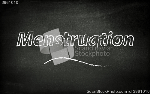 Image of Menstruation