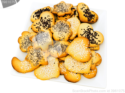 Image of Biscuit 