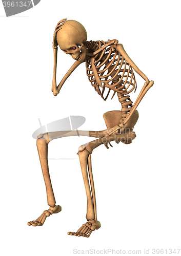 Image of 3D Rendering Human Skeleton on White