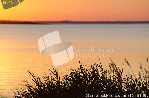 Image of Summer evening sunset