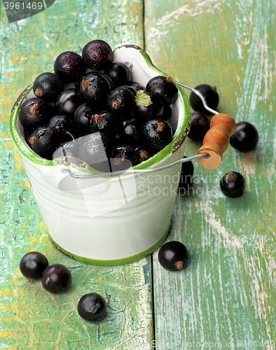 Image of Fresh Berries of Blackcurrant