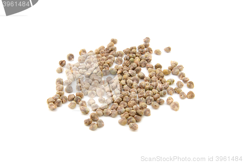 Image of Spinach seeds