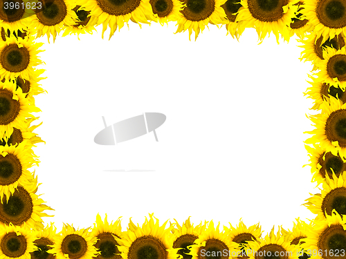 Image of Sunflower Frame