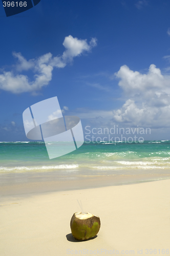 Image of Coconut drink on exotic beach