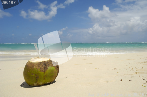 Image of Coconot drink on exotic beach