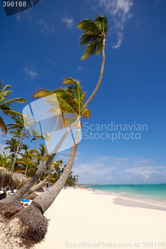 Image of Exotic beach with white sand