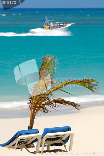 Image of Sun lounger and palm on beach