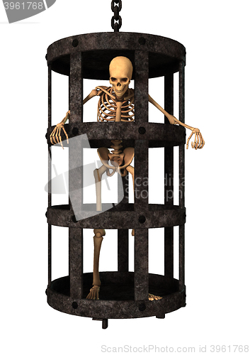 Image of 3D Rendering Human Skeleton on White