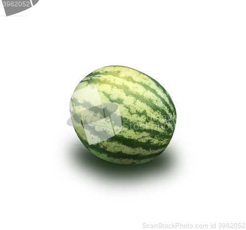 Image of Watermelon