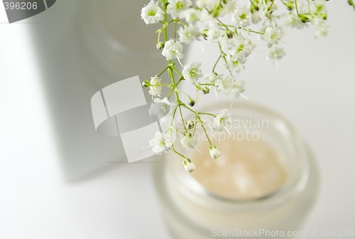 Image of flowers and creme