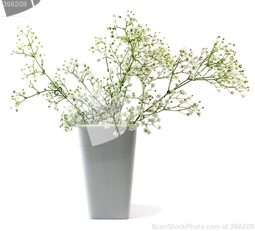 Image of flowers in vase