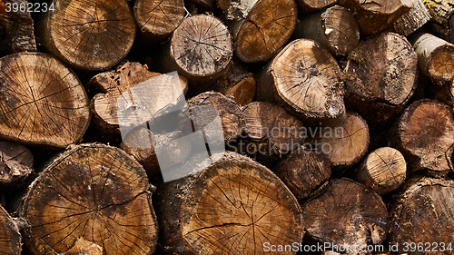 Image of Dry firewood in a pile for furnace kindling