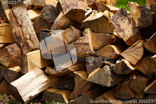 Image of Dry firewood in a pile for furnace kindling