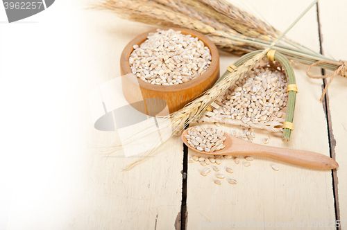 Image of organic wheat grains 