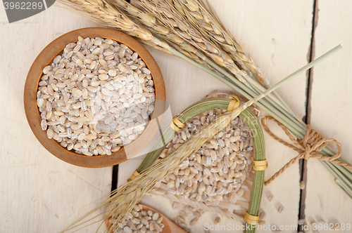 Image of organic wheat grains 