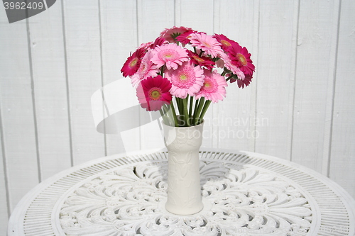 Image of Gerbera flowers