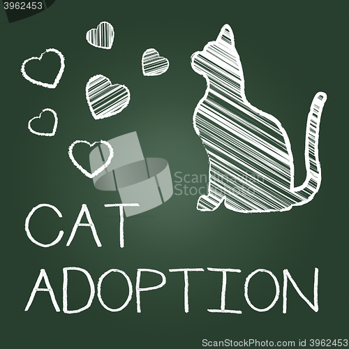 Image of Cat Adoption Shows Kitten Pet And Adopting