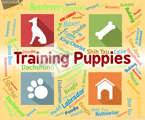 Image of Training Puppies Represents Instruction Pedigree And Pets