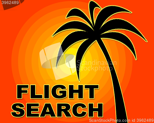 Image of Flight Search Shows Information Aircraft And Searching