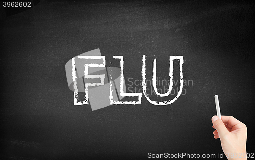 Image of Flu