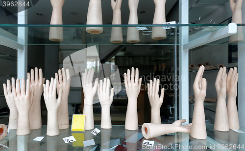 Image of Mannequin Hands