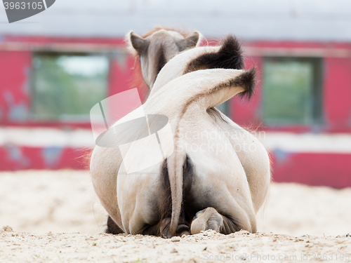 Image of Brown came from behind