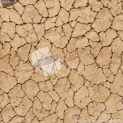 Image of Cracks in the ground