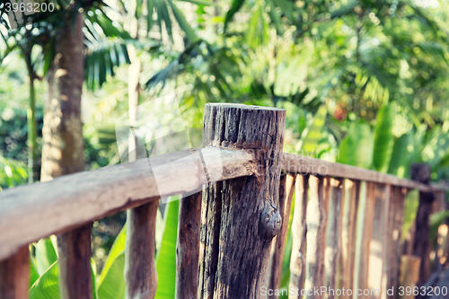 Image of wooden fence at tropical woods or park