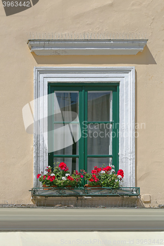 Image of Window