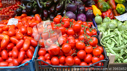 Image of Tomato