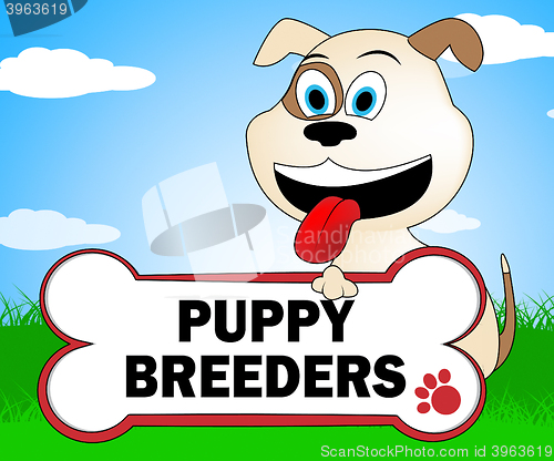 Image of Puppy Breeders Shows Husbandry Canines And Pedigree