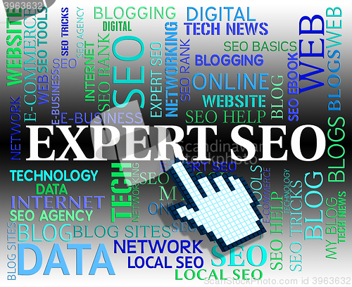 Image of Expert Seo Shows Search Engines And Ability