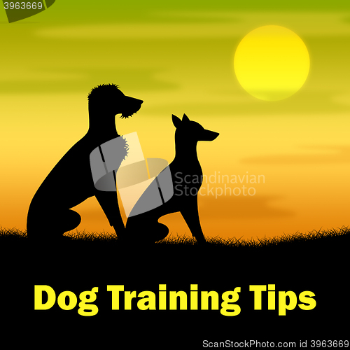 Image of Dog Training Tips Means Puppy Doggy And Teaching