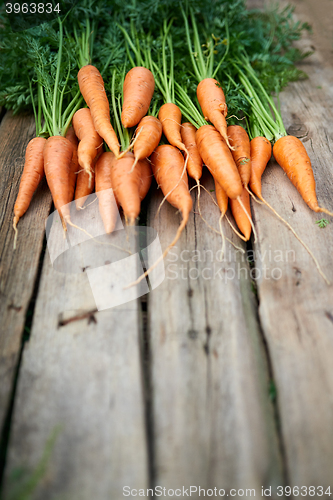 Image of Fresh carrots bunch on rustic wooden background