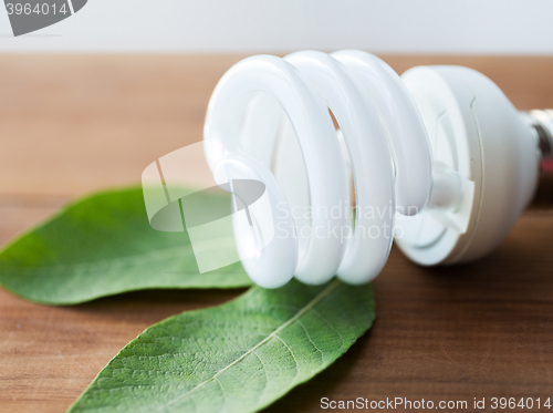 Image of close up of energy saving lightbulb and green leaf