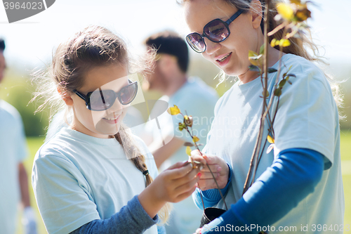 Image of volunteers family with tree seedling in park