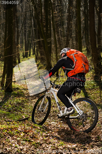 Image of Cyclist Riding the Bike on a Trail in Summer Forest