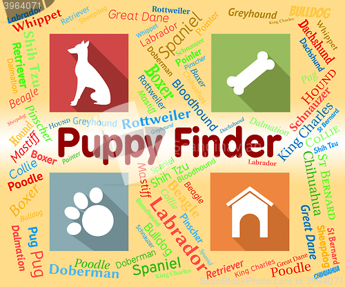 Image of Puppy Finder Shows Search Out And Choose